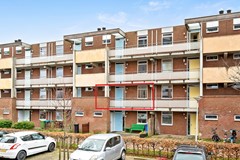 voorfoto met lijntje.jpg